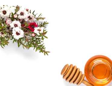 floare-de-manuka